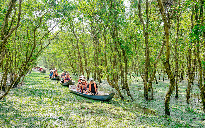 Tra Su melaleuca forest in An Giang. Photo: Hieu Minh Vu